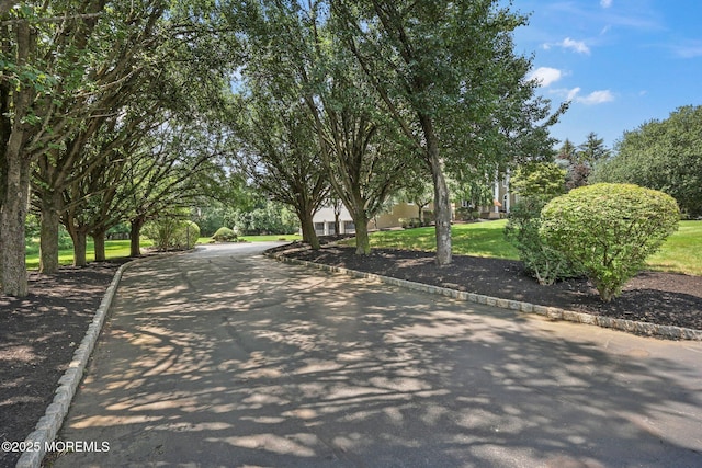 9 Old Cider Mill Rd, Manalapan, NJ 07726 - view of street with curbs and view of wooded area