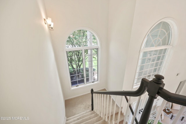 9 Old Cider Mill Rd, Manalapan, NJ 07726 - stairway with carpet floors and baseboards