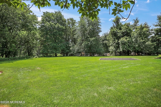 9 Old Cider Mill Rd, Manalapan, NJ 07726 - view of grassy yard