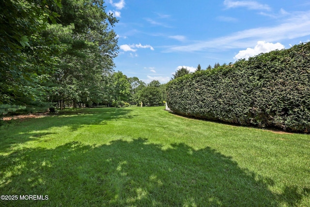 9 Old Cider Mill Rd, Manalapan, NJ 07726 - view of grassy yard