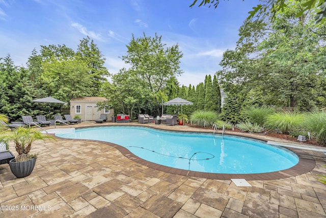 707 Cambridge Rd, Lanoka Harbor, NJ 08734 - swimming pool with outdoor lounge area, a patio, and a storage unit