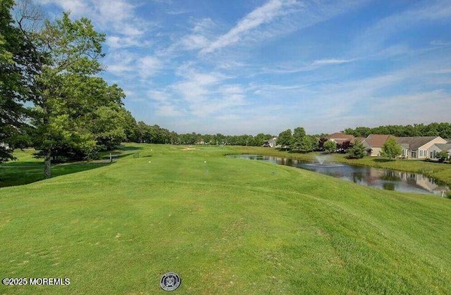 17 Blackmoor Dr, Jackson, NJ 08527 - photo 60