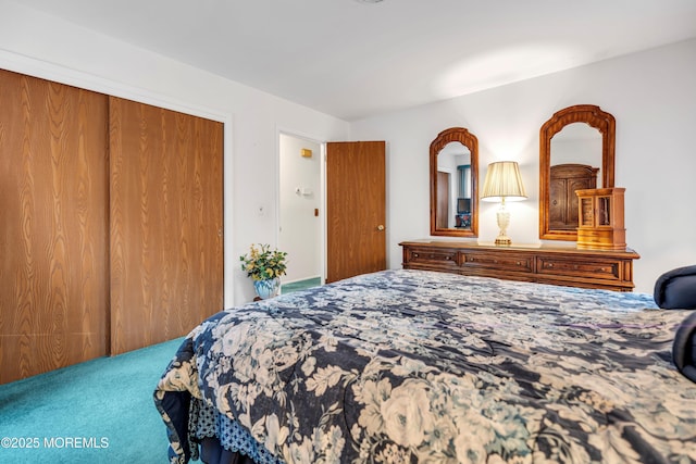 13 Millbrook Ct, Toms River, NJ 08757 - bedroom featuring a closet and carpet flooring