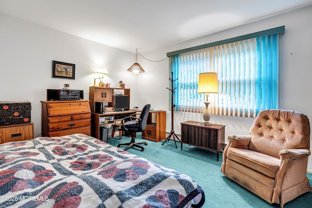 13 Millbrook Ct, Toms River, NJ 08757 - view of carpeted bedroom