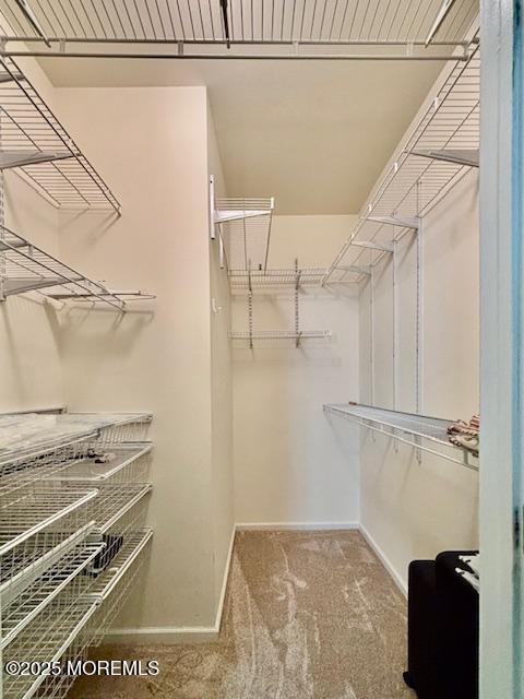 17 Marigold Ln, Little Egg Harbor, NJ 08087 - walk in closet with carpet