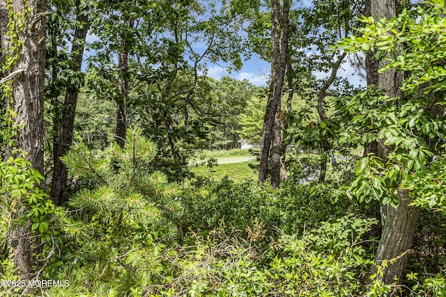43 Bradley Beach Way, Waretown, NJ 08758 - view of tree filled area
