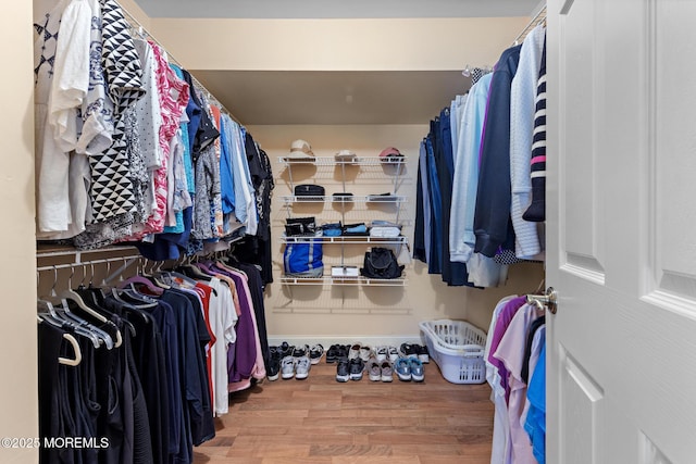 363 Yorkshire Pl, Morganville, NJ 07751 - walk in closet with wood finished floors