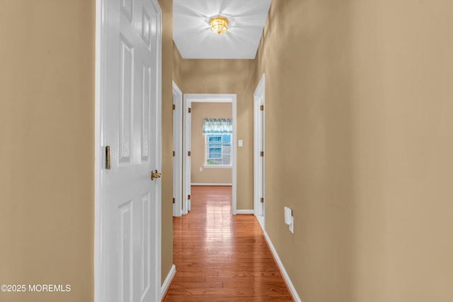 12 Drayton Rd, Manchester, NJ 08759 - hall featuring hardwood / wood-style floors and baseboards