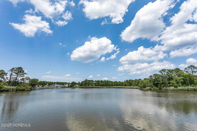 52 Kettle Creek Dr, Brick, NJ 08723 - water view