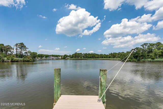 52 Kettle Creek Dr, Brick, NJ 08723 - dock with a water view