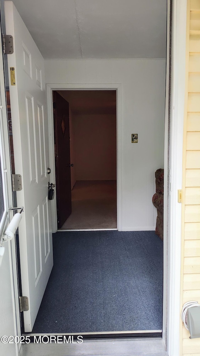 4 Snowberry Ln Unit D, Whiting, NJ 08759 - hall featuring carpet flooring