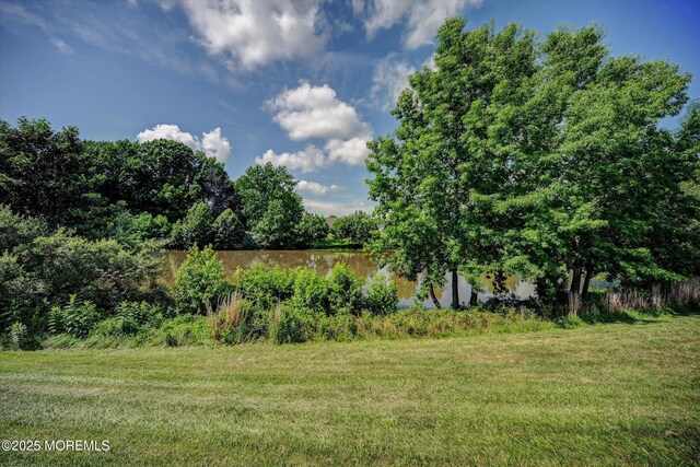 41 Lakeview Dr, Marlboro, NJ 07746 - photo 38