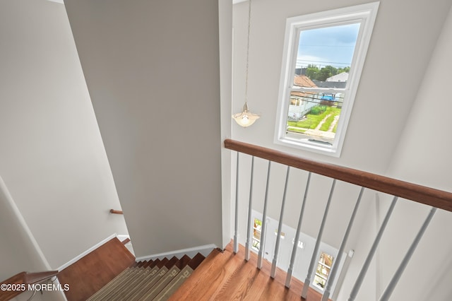 31 Ocean Ave, North Middletown, NJ 07748 - photo 19