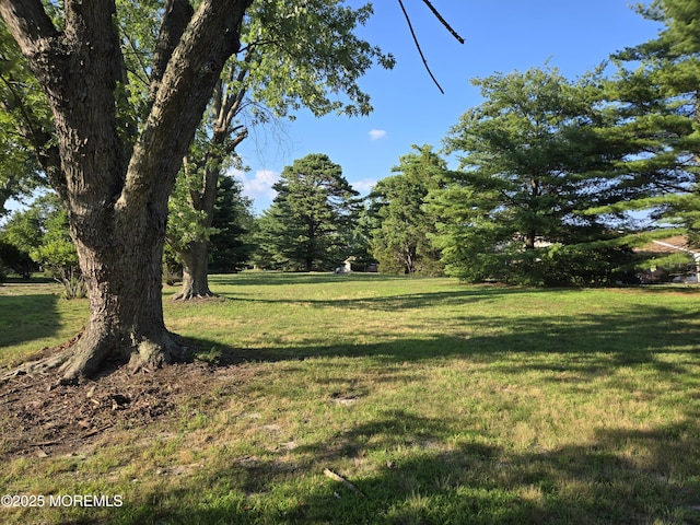 5 Potomac Ln Unit D, Whiting, NJ 08759 - view of green lawn