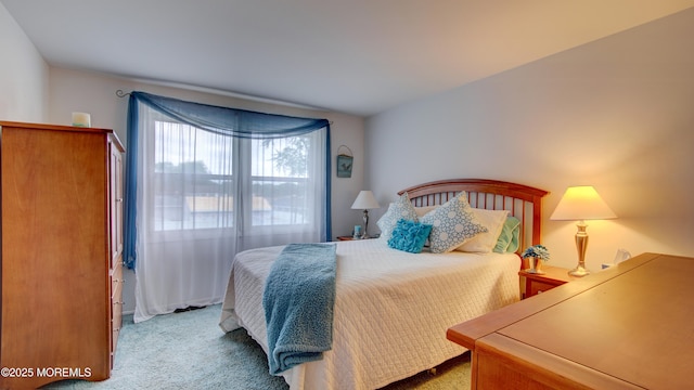 20 Kenwood Ln, Old Bridge, NJ 08857 - bedroom with carpet flooring
