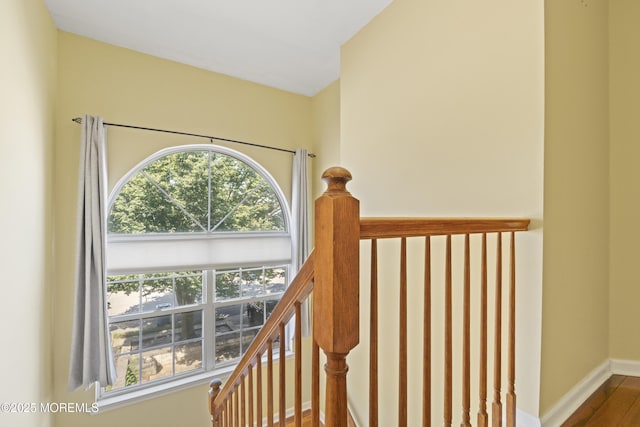 7 Warbler Rd, Marlboro, NJ 07746 - stairway featuring wood finished floors and baseboards