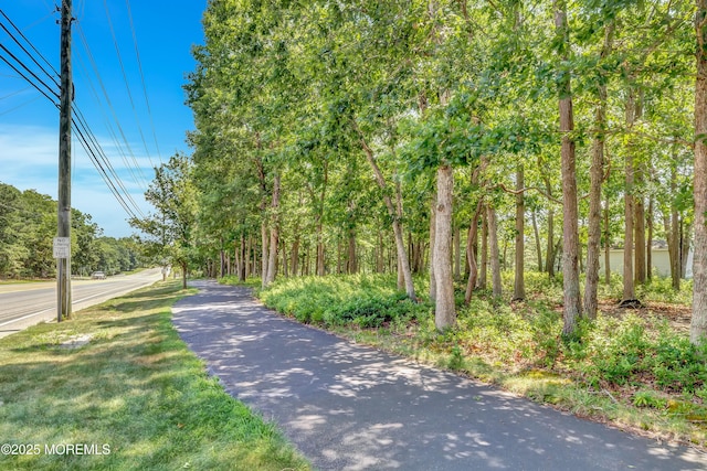 43 Westport Dr, Barnegat, NJ 08005 - view of street