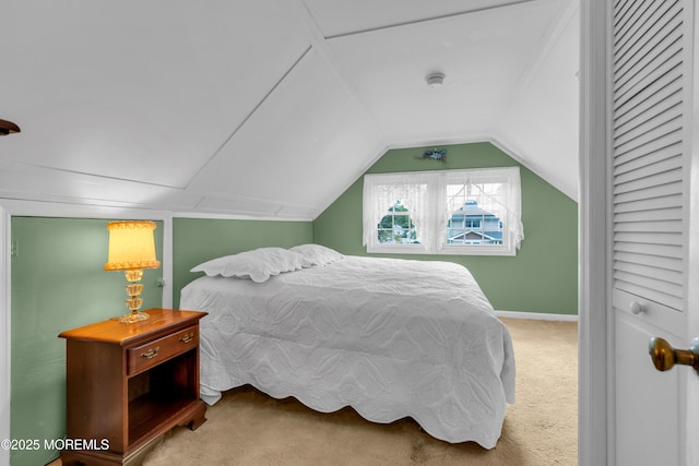 833 Lincoln St, Red Bank, NJ 07701 - bedroom with carpet flooring and lofted ceiling
