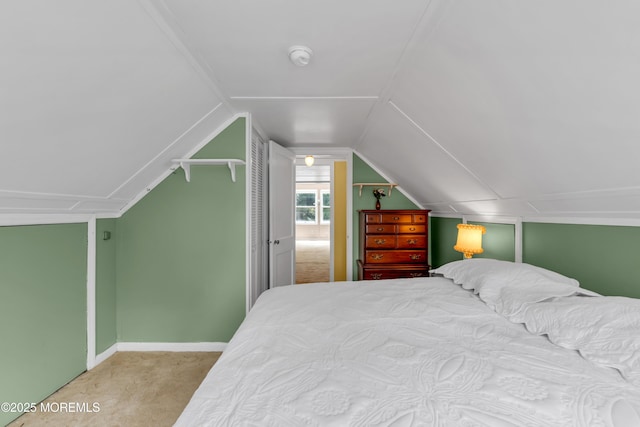 833 Lincoln St, Red Bank, NJ 07701 - bedroom featuring carpet, vaulted ceiling, and a closet