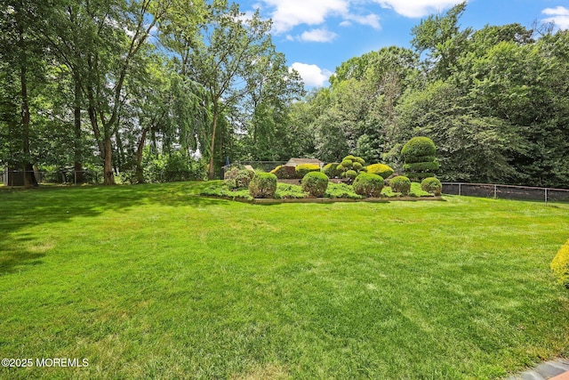 3 Sudbury Rd, Morganville, NJ 07751 - view of yard
