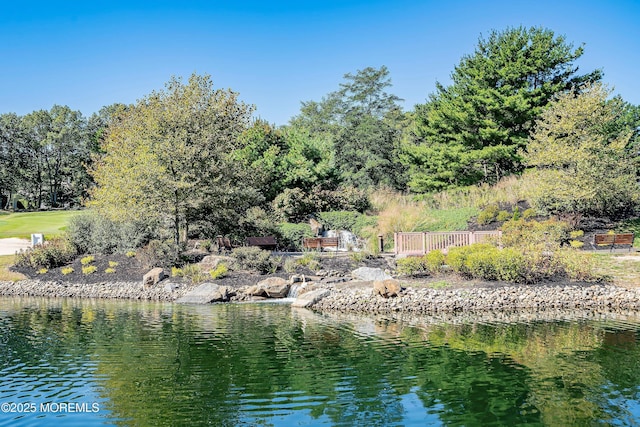 1 Silverspring Dr, Lakewood, NJ 08701 - water view