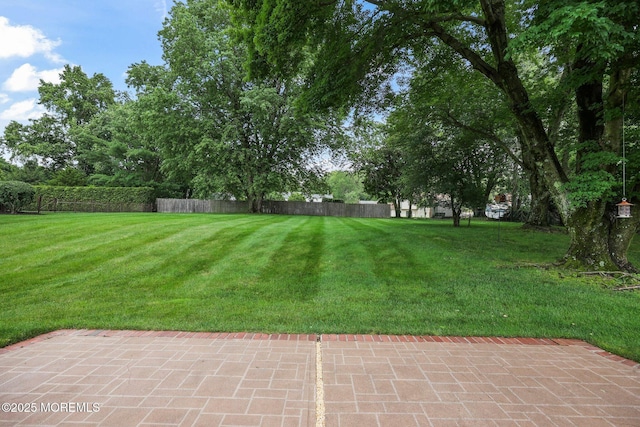 6 Pamela St, Marlboro, NJ 07746 - view of green lawn