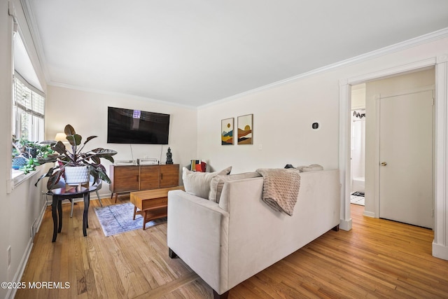 505 Moore Rd, Neptune Township, NJ 07753 - living area featuring ornamental molding and light wood-style flooring