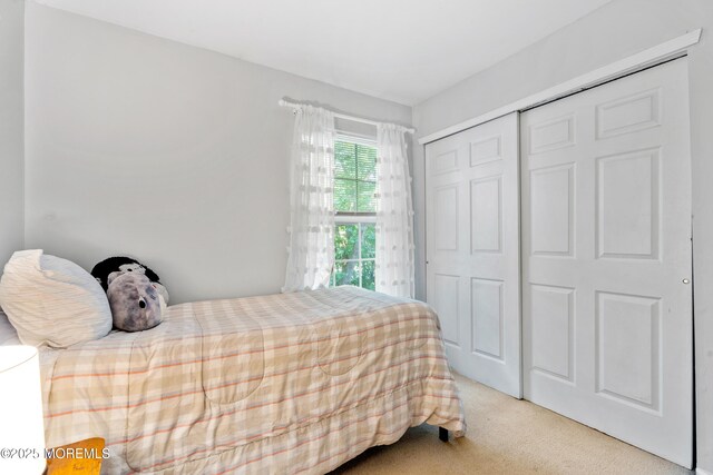 117 Lexington Ct, Holmdel, NJ 07733 - bedroom featuring carpet floors and a closet