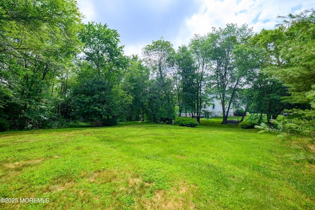 235 Leesville Rd, Jackson, NJ 08527 - view of green lawn