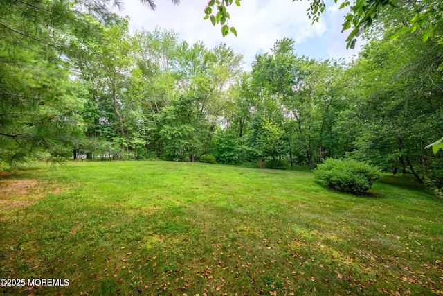235 Leesville Rd, Jackson, NJ 08527 - view of grassy yard