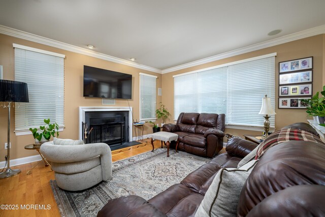 235 Leesville Rd, Jackson, NJ 08527 - living area featuring crown molding, wood finished floors, and a fireplace with raised hearth
