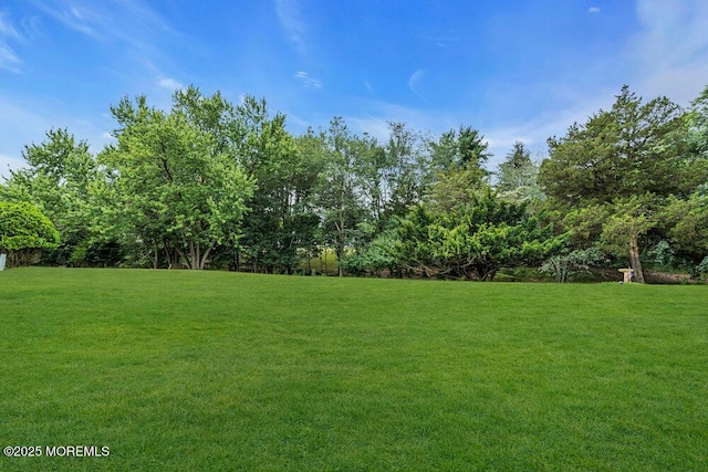 119 Barbados Dr S, Toms River, NJ 08757 - view of green lawn