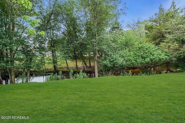 119 Barbados Dr S, Toms River, NJ 08757 - view of green lawn