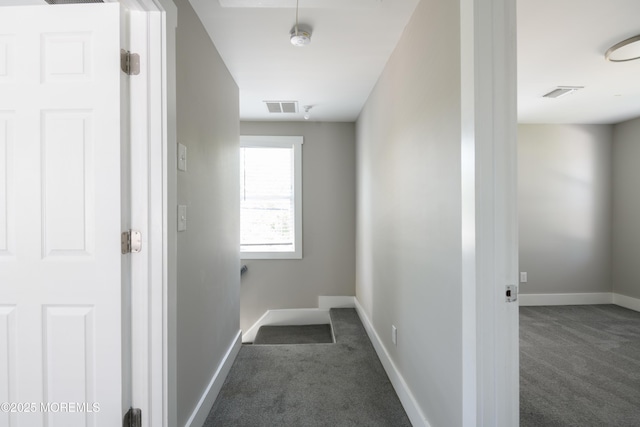 56 Bank St, Red Bank, NJ 07701 - photo 12