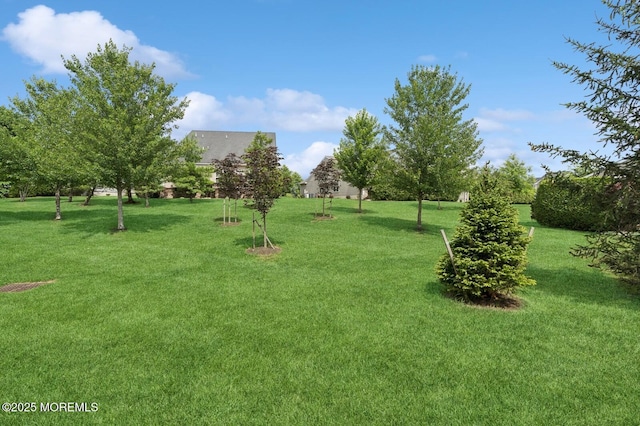 6 Day Star Rd, Manalapan, NJ 07726 - view of green lawn