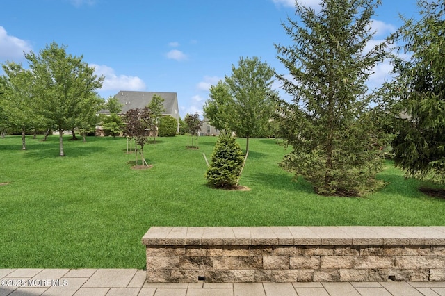 6 Day Star Rd, Manalapan, NJ 07726 - view of green lawn