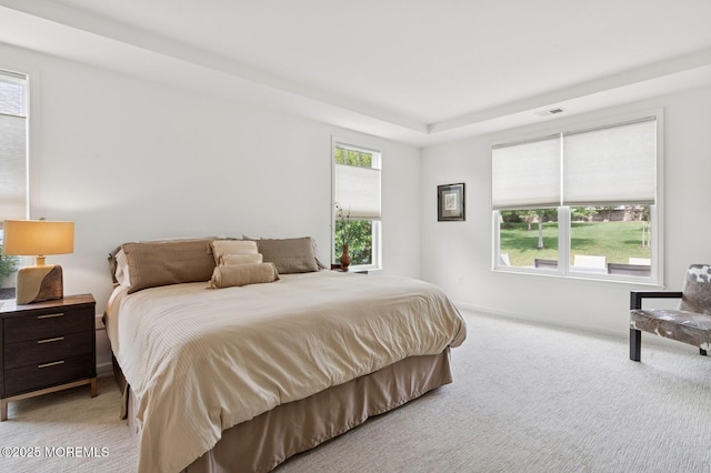 6 Day Star Rd, Manalapan, NJ 07726 - bedroom featuring light colored carpet and a tray ceiling
