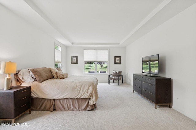 6 Day Star Rd, Manalapan, NJ 07726 - bedroom with light carpet and a raised ceiling