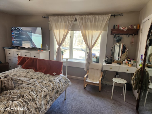 517 Newtons Corner Rd, Howell, NJ 07731 - carpeted bedroom with baseboards