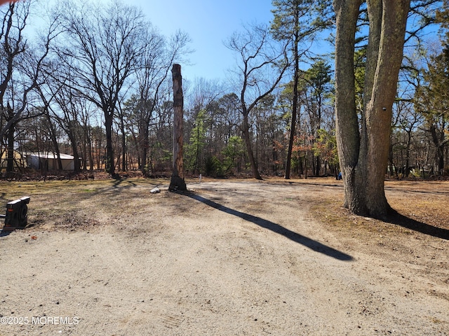 517 Newtons Corner Rd, Howell, NJ 07731 - view of yard