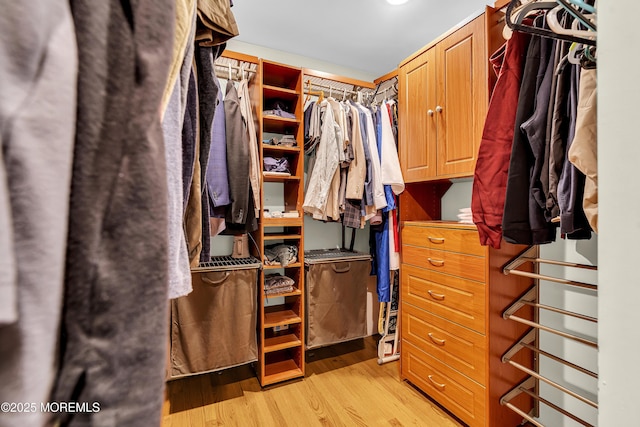 40 Centerville Rd, Holmdel, NJ 07733 - walk in closet with light wood-type flooring