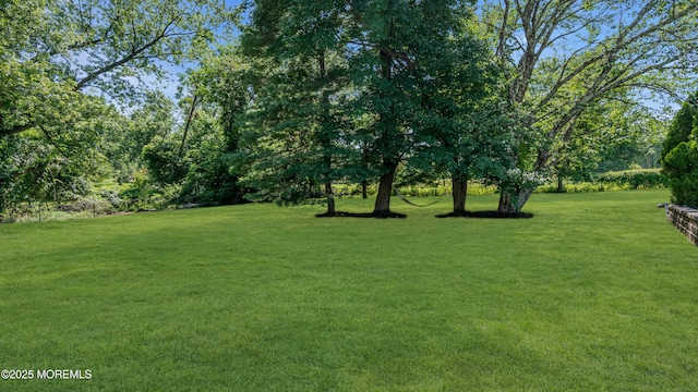 40 Centerville Rd, Holmdel, NJ 07733 - view of grassy yard