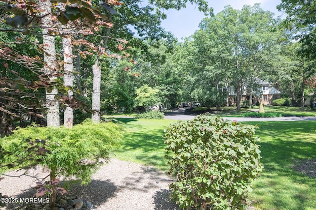 1920 Kenilworth Ct, Toms River, NJ 08753