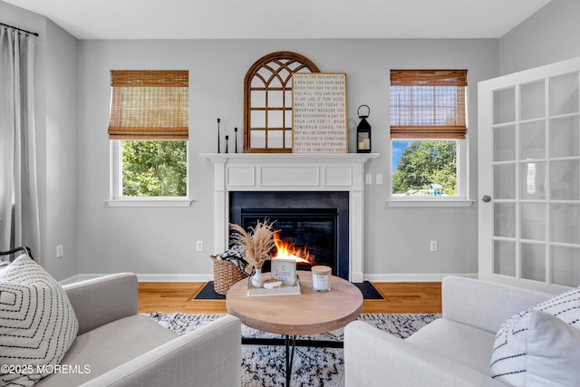 1667 Kalvel Ct, Toms River, NJ 08755 - living room featuring a glass covered fireplace, healthy amount of natural light, and wood finished floors