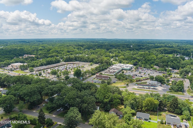 10 Locust Grove Ln, Manalapan, NJ 07726 - drone / aerial view of a forest