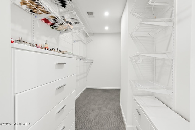 95 Linden Ave, West Long Branch, NJ 07764 - spacious closet featuring carpet floors