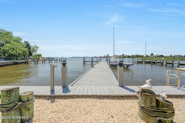 103 Pinewood Rd, Toms River, NJ 08753 - photo 42