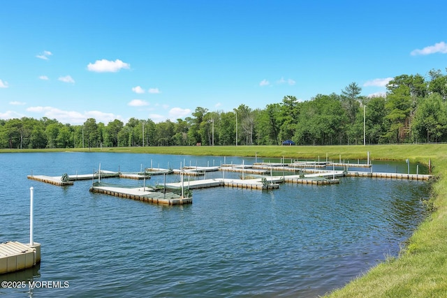 43 Cambridge Ct Unit K, Lakewood, NJ 08701 - dock featuring a water view and a forest view