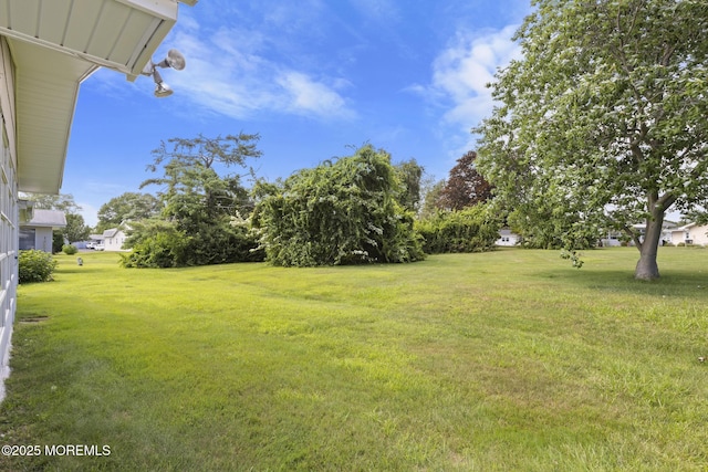 117 Clay Cir, Brick, NJ 08724 - view of grassy yard