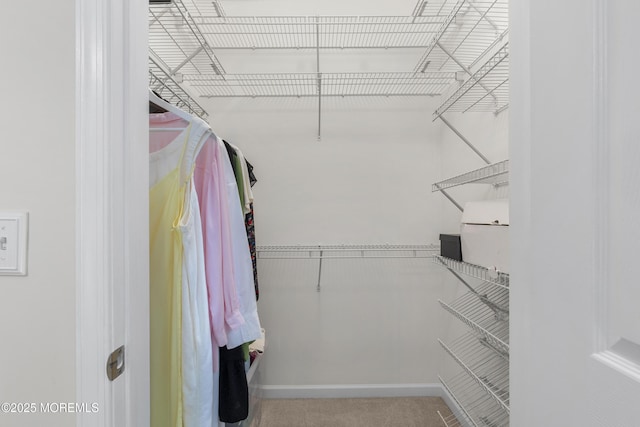 428 Sophee Ln, Lakewood, NJ 08701 - view of walk in closet